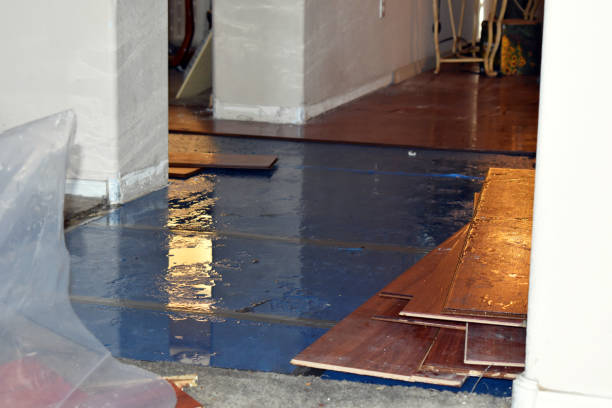 Professional Sewage Cleanup technician working in Gregory, TX